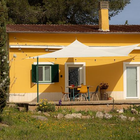 Casina Al Castello - Natura E Relax Кастель-дель-Монте Екстер'єр фото
