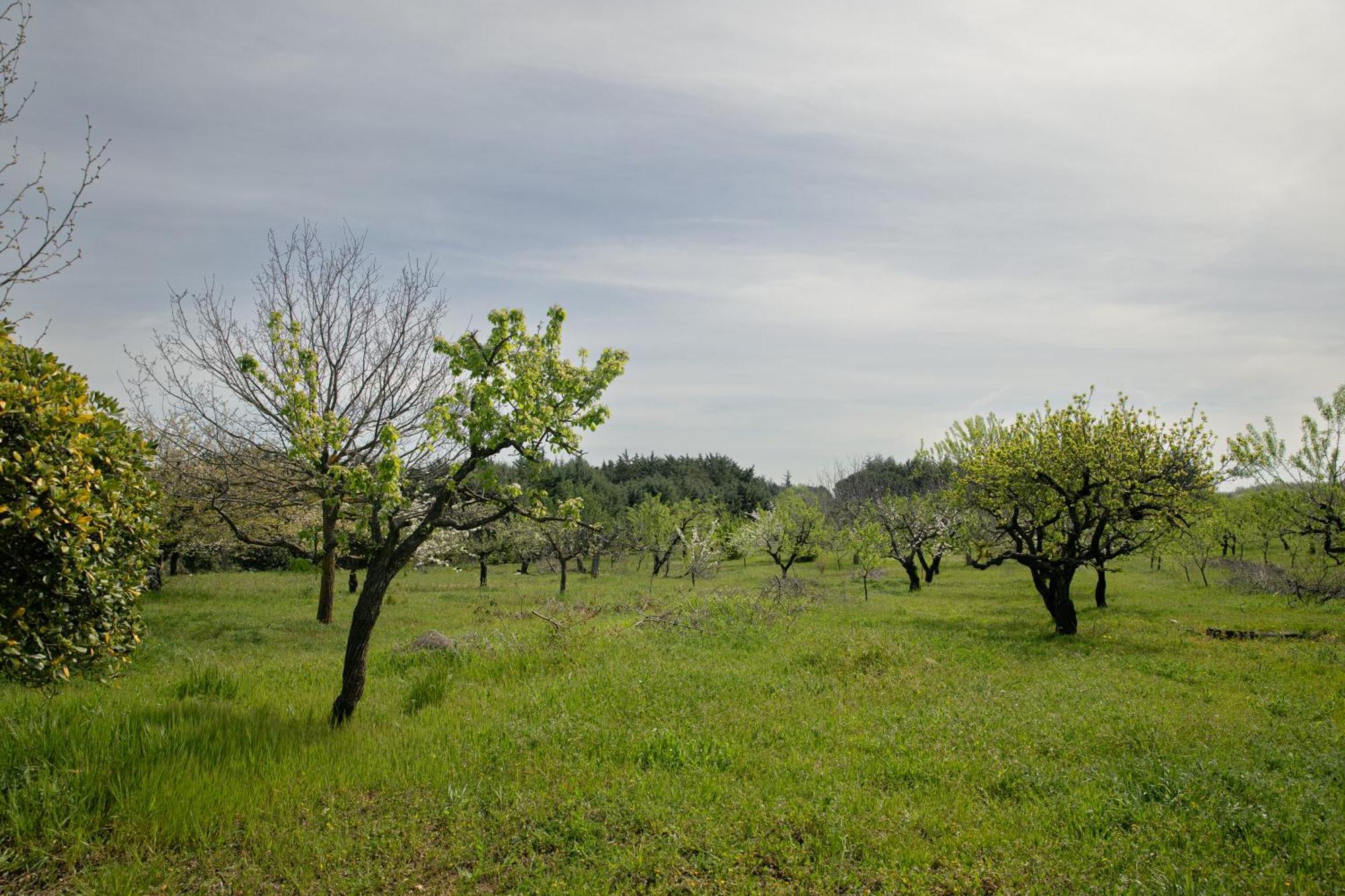 Casina Al Castello - Natura E Relax Кастель-дель-Монте Екстер'єр фото